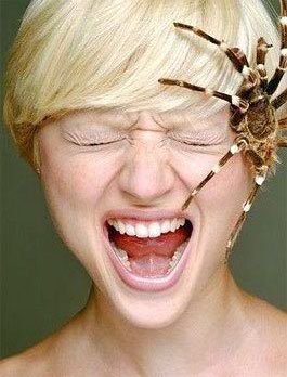 арахнофобия